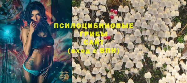 крисы Богданович