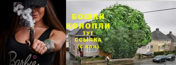 крисы Богданович