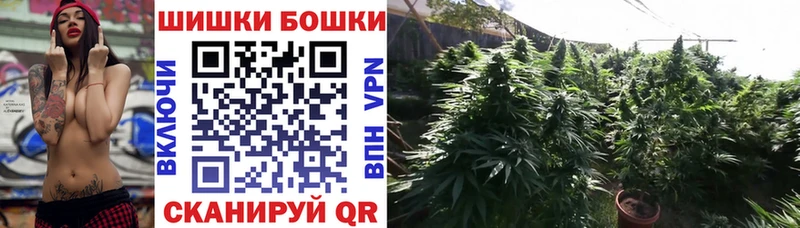 Канабис план  Володарск 